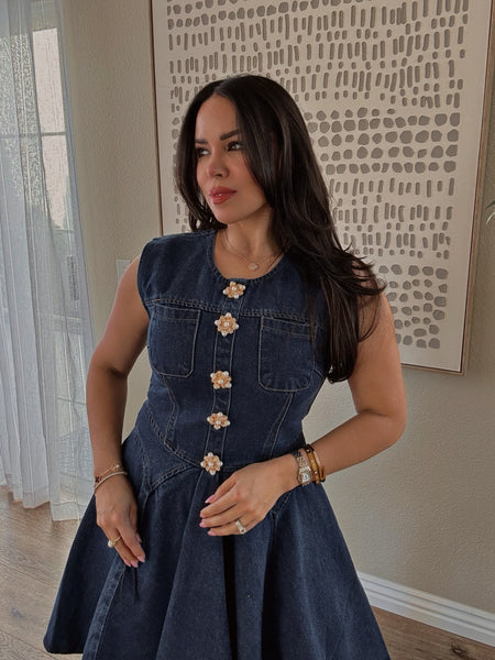 Jenna Denim Dress